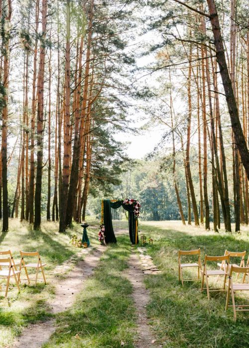 Wedding,Ceremony,In,A,Green,Forest,On,A,Summer,Day,